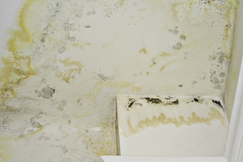 Air Duct Mold Removal in Broward County, FL