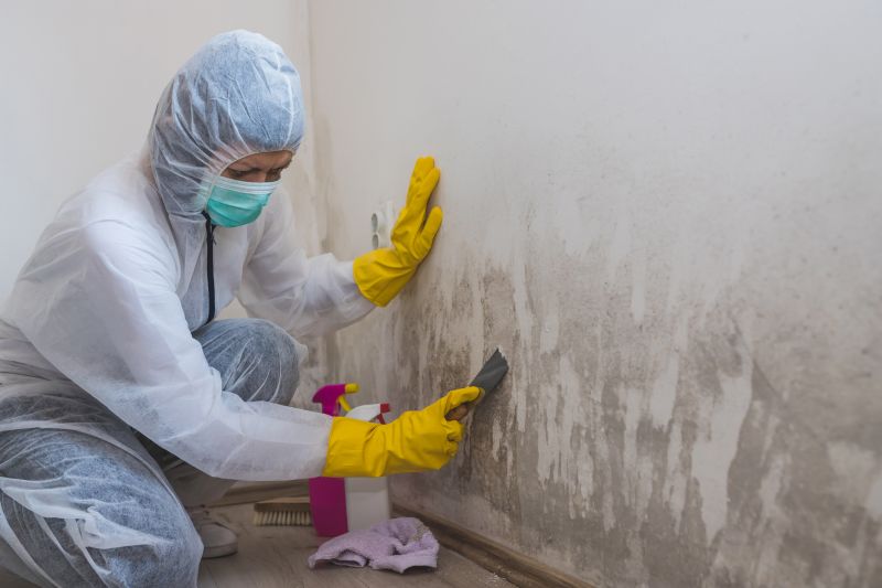 Attic Mold Remediation in Frisco, TX