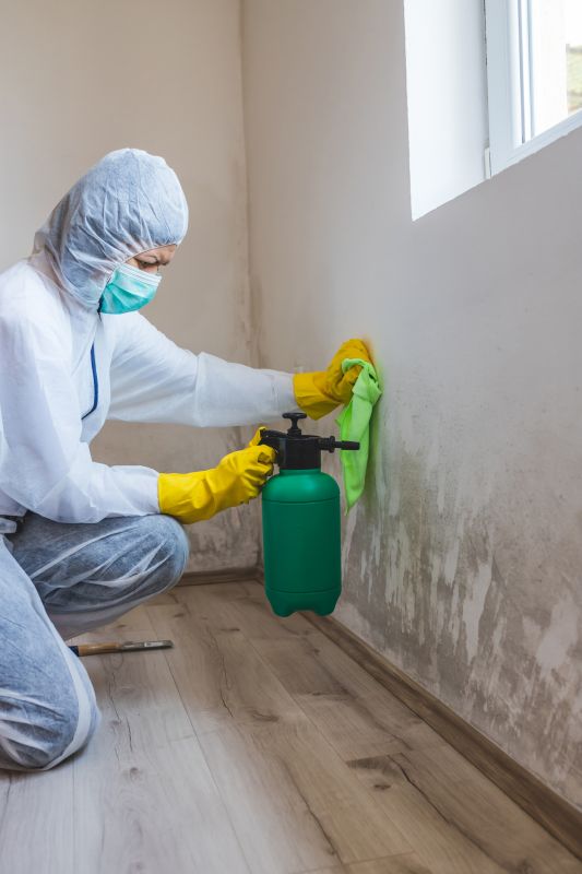Attic Mold Remediation in Dallas, TX