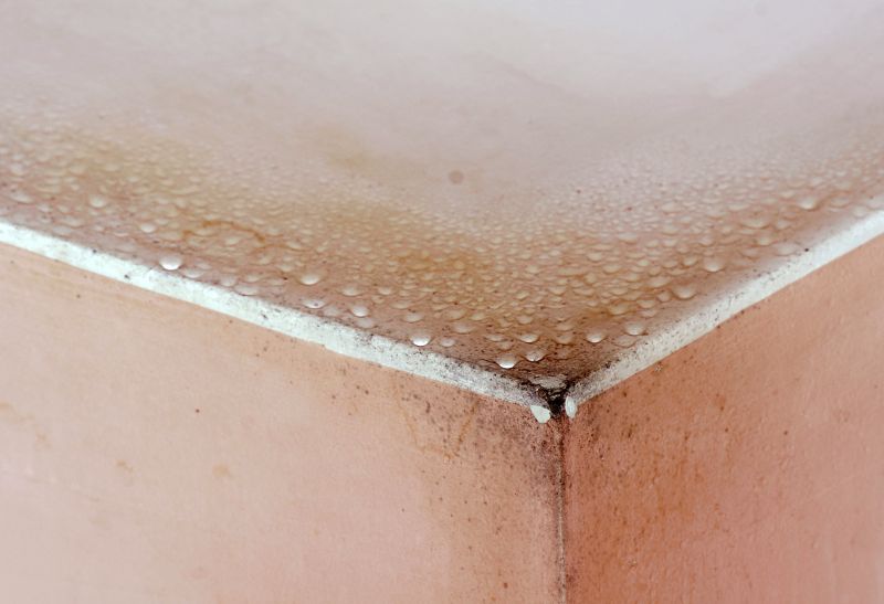 Basement Mold Remediation in Boca Raton, FL