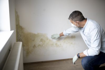 Basement Mold Remediation in West Palm Beach, FL
