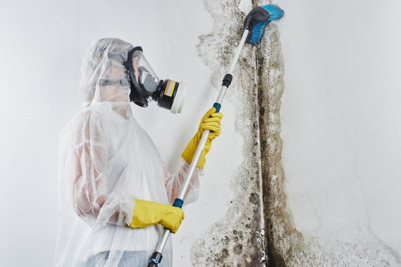 Black Mold Remediation in Jupiter, FL