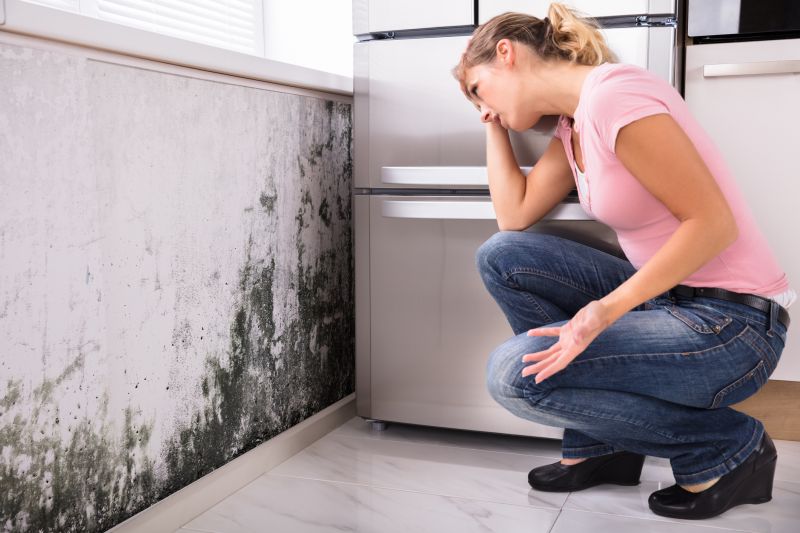 Black Mold Removal in Frisco, TX