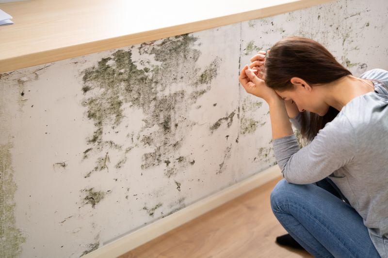 Black Mold Removal in Essex County, NJ