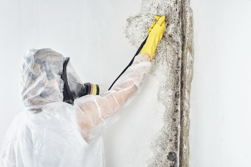Black Mold Removal in Fort Worth, TX