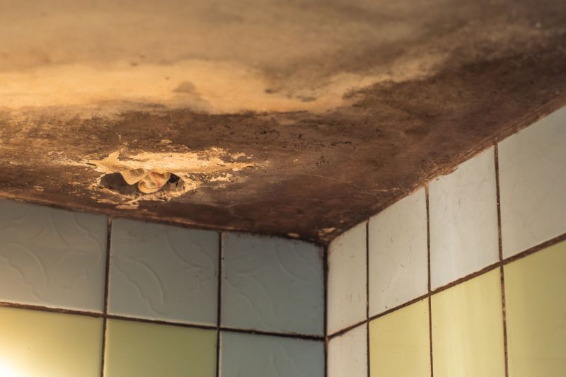 Ceiling Mold Removal in Broward County, FL