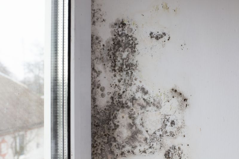Ceiling Mold Removal in Boca Raton, FL