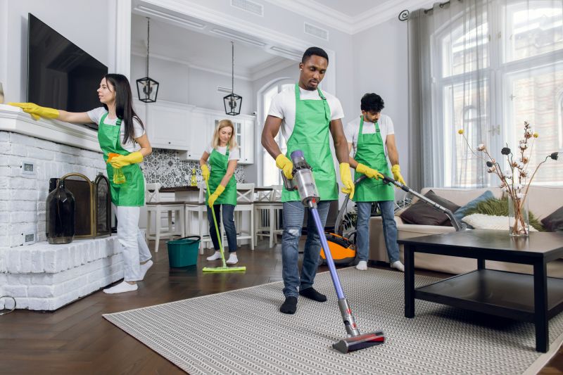 Get House Cleaning Service - Spring