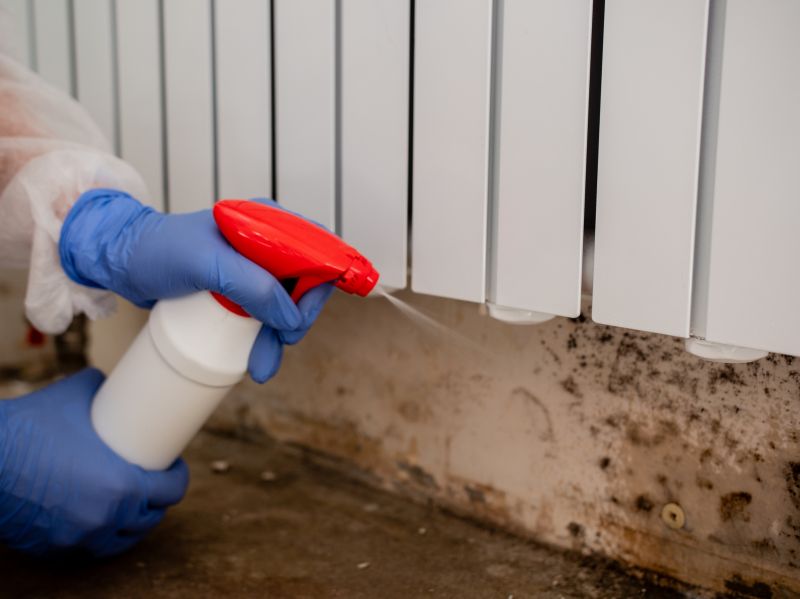 Mold Cleanup Service in Bergen County, NJ