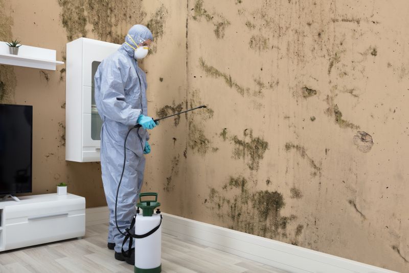 Mold Control in Palm Beach County, FL