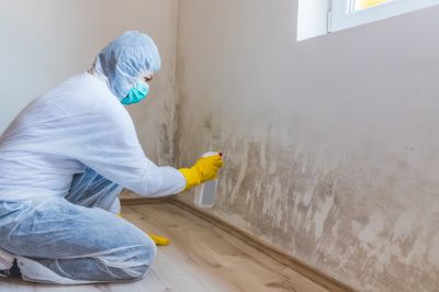 Mold Mitigation Service in Boca Raton, FL
