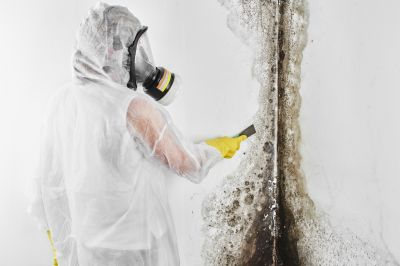 Mold Mitigation Service in Broward County, FL