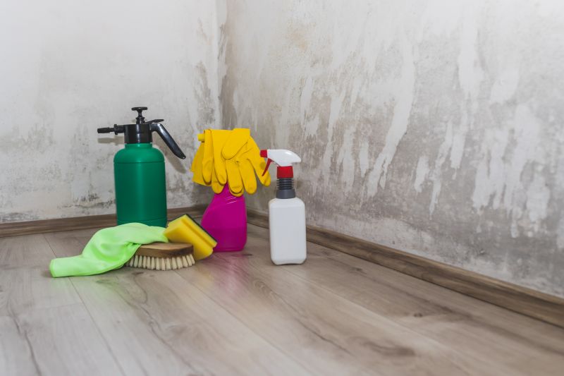 Mold Remediation Service in Fort Lauderdale, FL