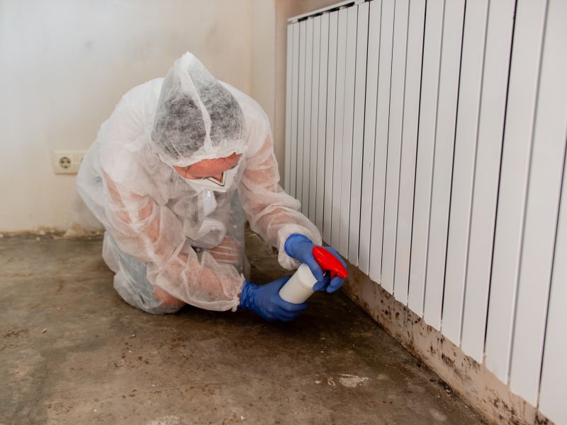Mold Treatment Service in Frisco, TX