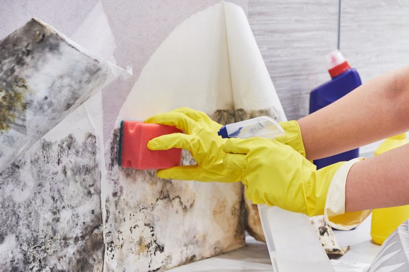 Mold Treatment Service in Bergen County, NJ