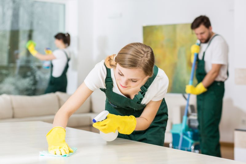 Move In Cleaning Service in Frisco, TX