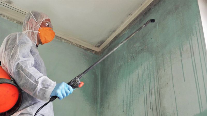 Crawl Space Mold Removal in Jupiter, FL