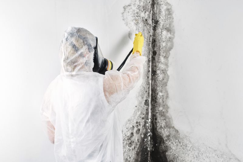 Mold Abatement Service in Fort Lauderdale, FL