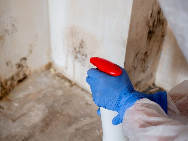 Mold Abatement Service in West Palm Beach, FL