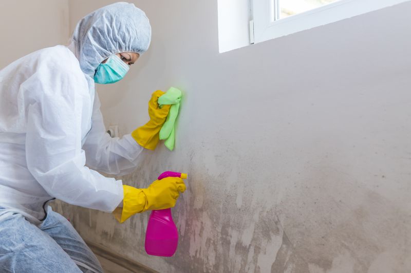 Mold Remediation Service in Frisco, TX