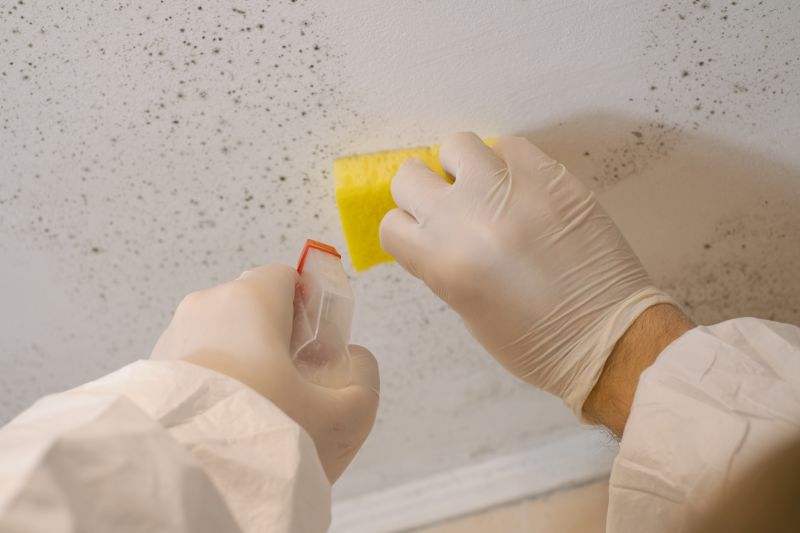 Mold Restoration in Frisco, TX