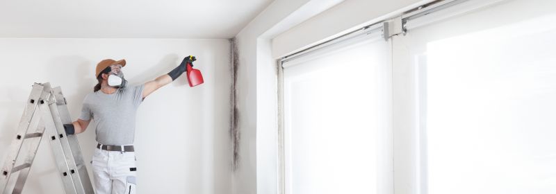 Mold Treatment Service in Fort Worth, TX