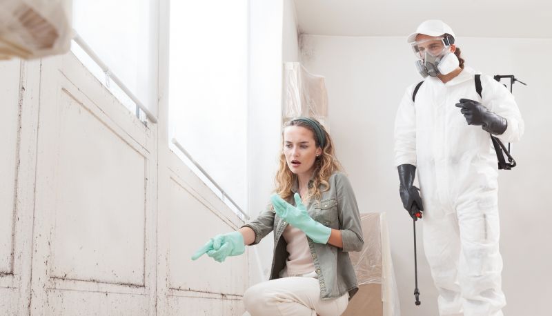 Mold Treatment Service in Frisco, TX